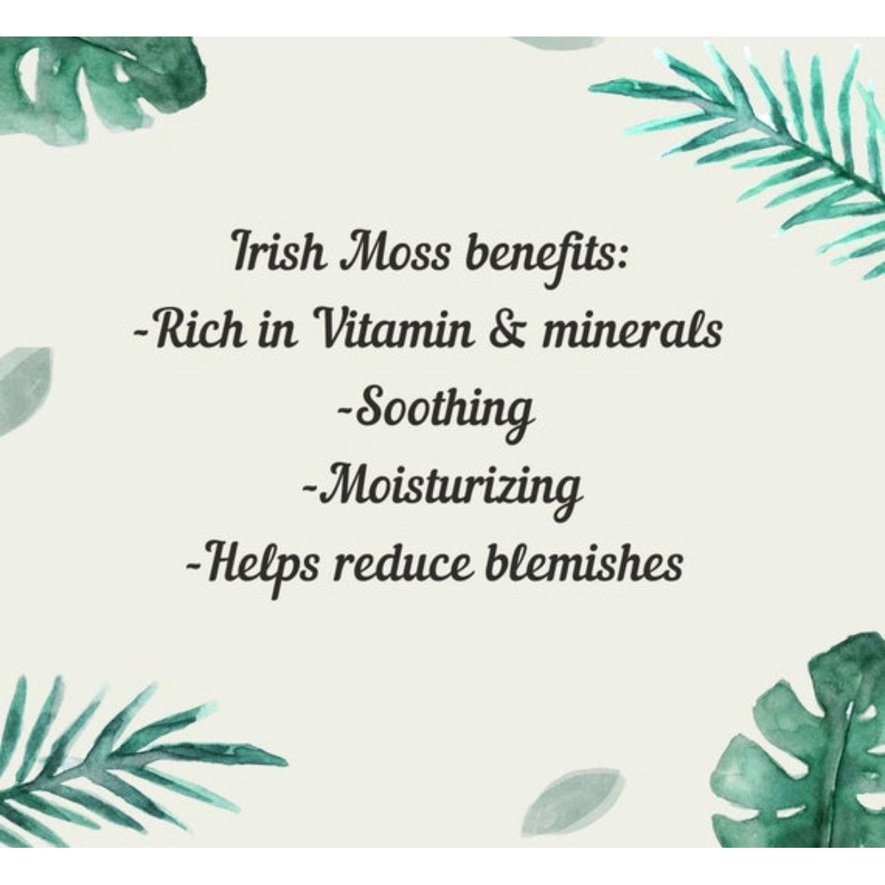 Irish Moss & Soothing Calendula Body Oil - KathyRoseNaturals